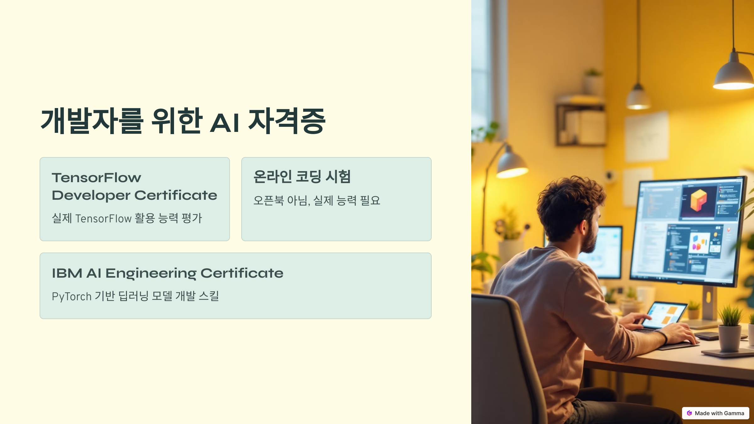 개발자를 위한 AI 자격증