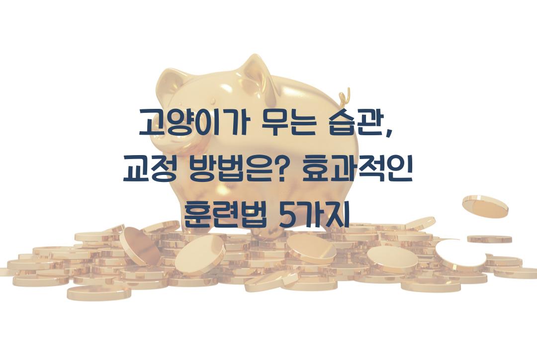 고양이가 무는 습관, 교정 방법은?