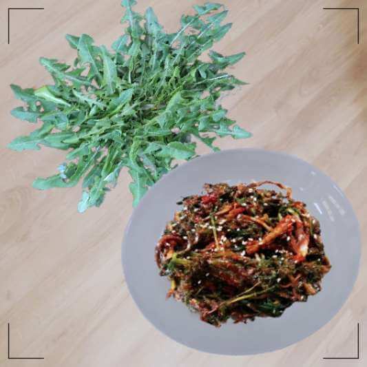 지칭개 효능 및 영양소 먹는 법과 주의점