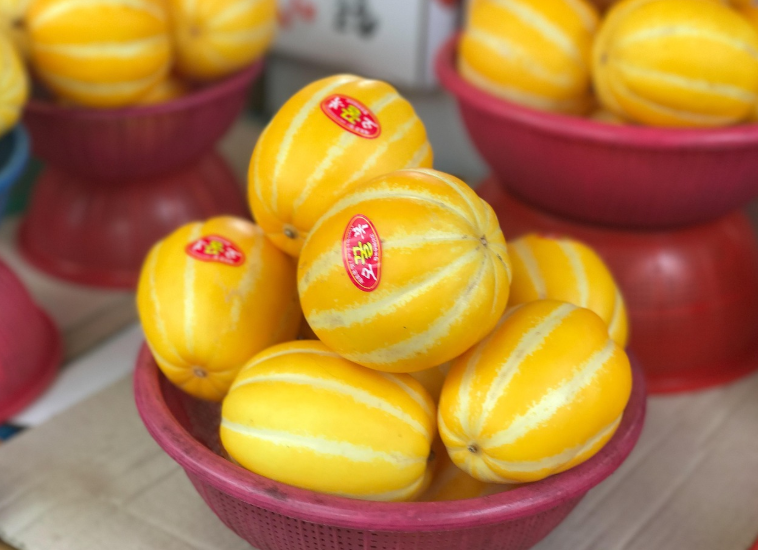 참외 보관법
