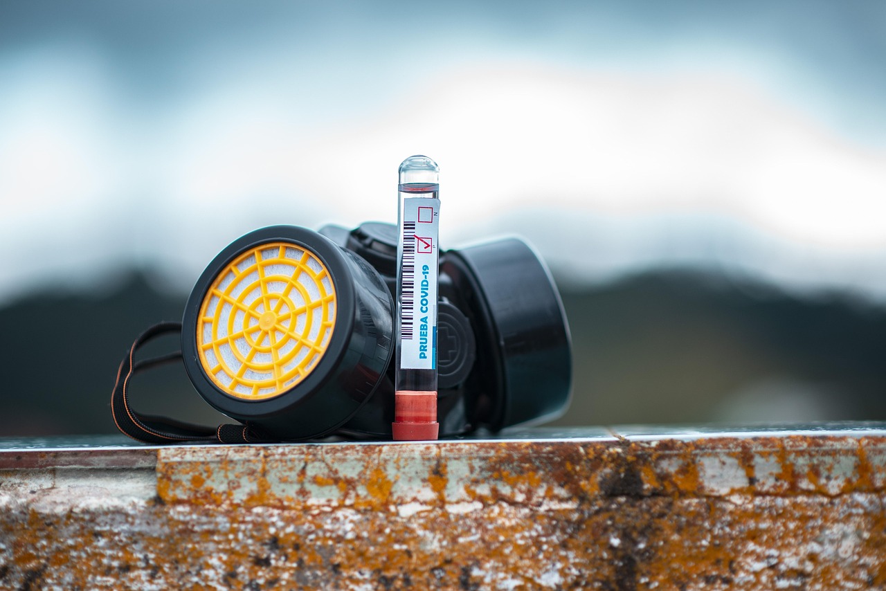 코로나 백신 사진