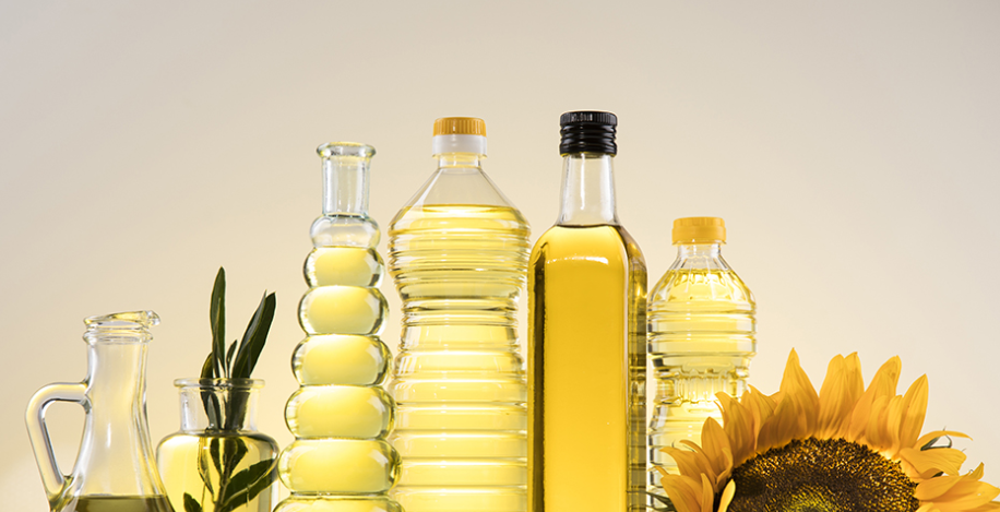 태백 해바라기 축제 2025 일정 및 즐길 거리 총정리!