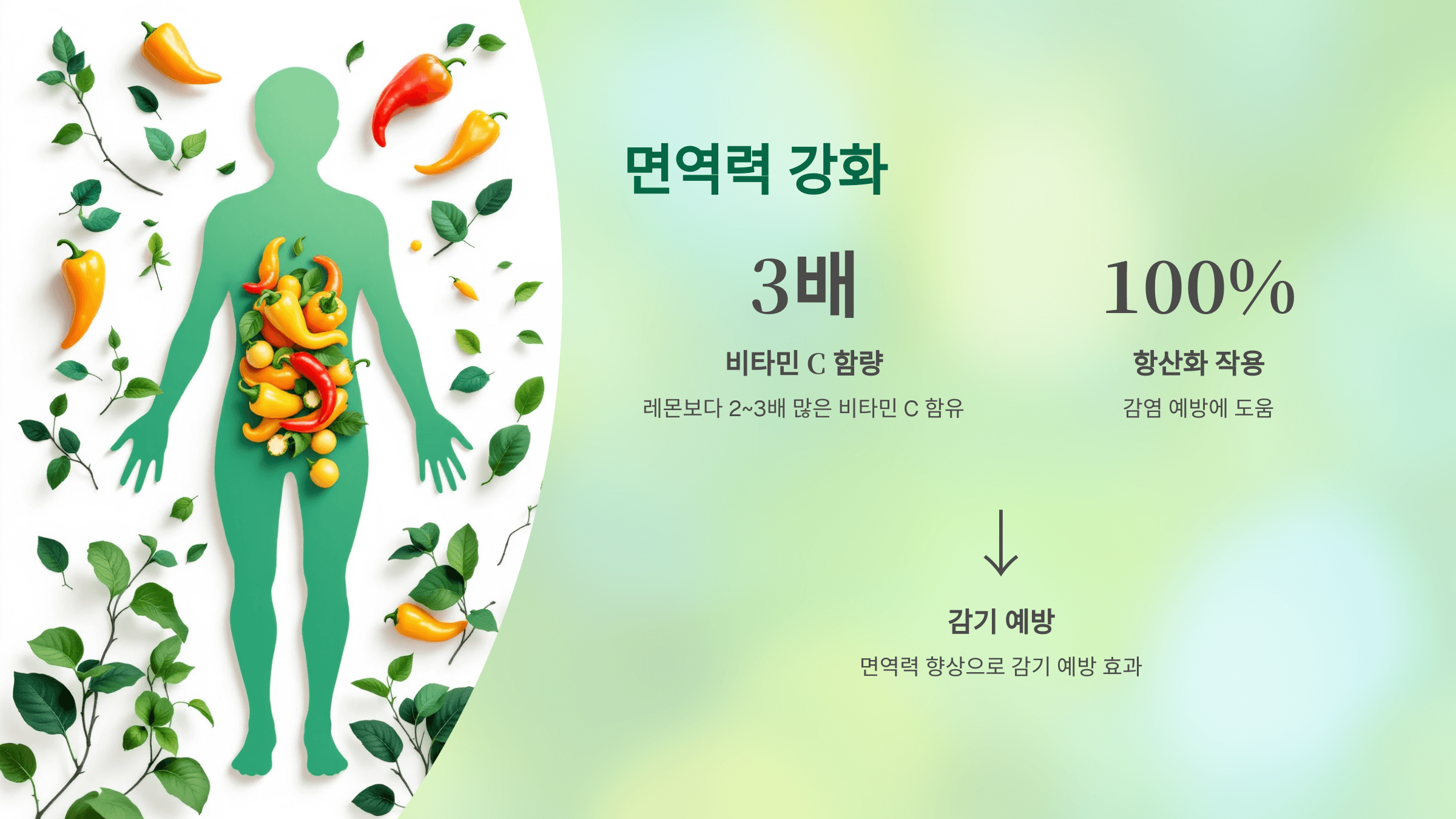 파프리카 사진입니다.