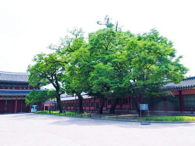 창덕궁후원