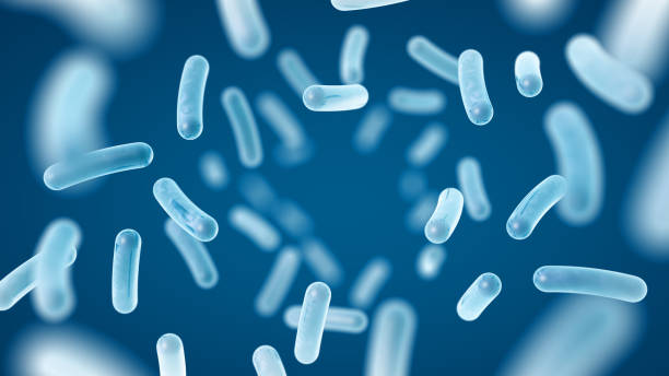 장이 편해야 몸도 가볍다