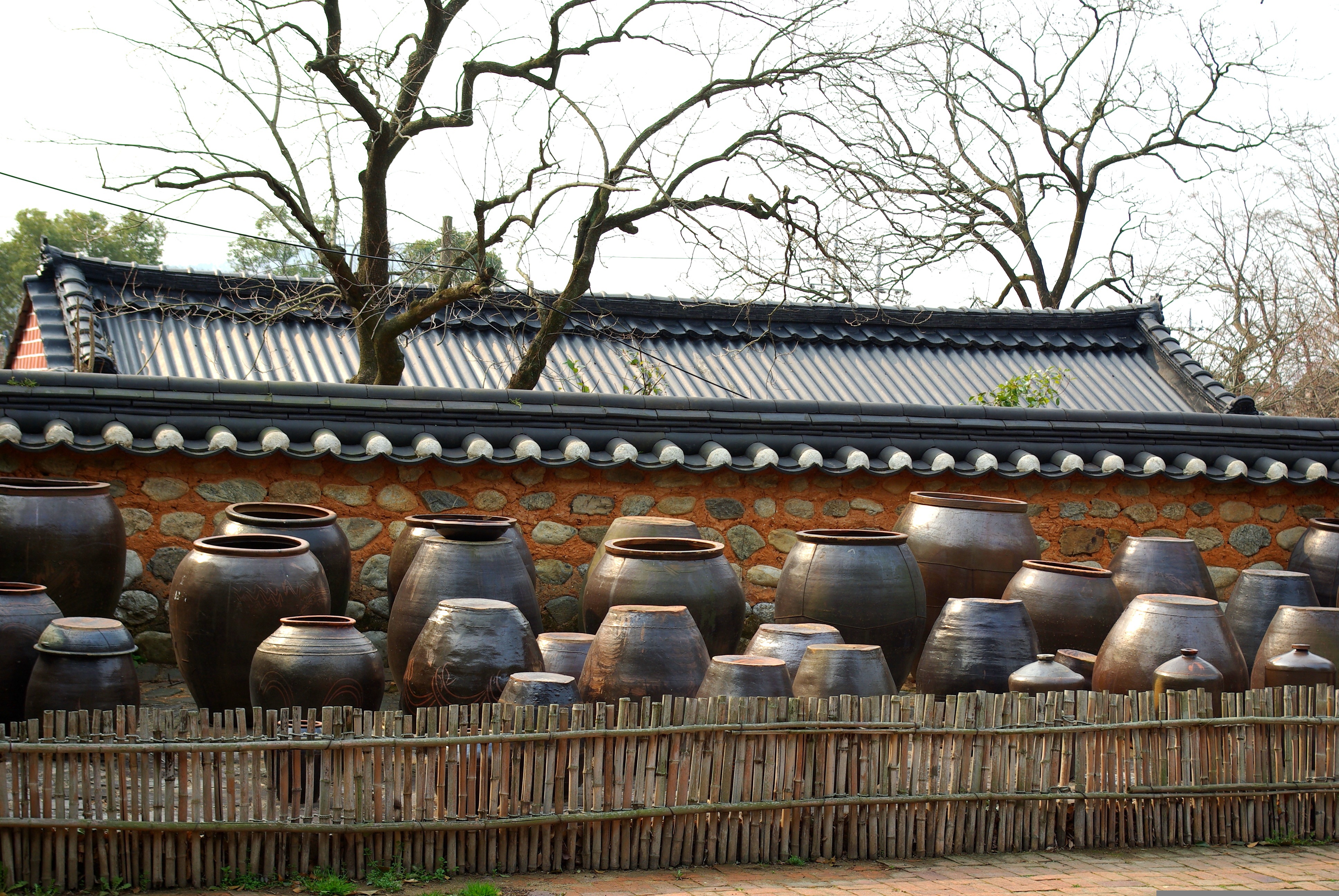 쪽파김치 담그는법