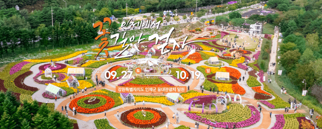 강원도 '인제 가을꽃축제' 언제야? 2025 일정과 포토존 코스 한눈에 보기