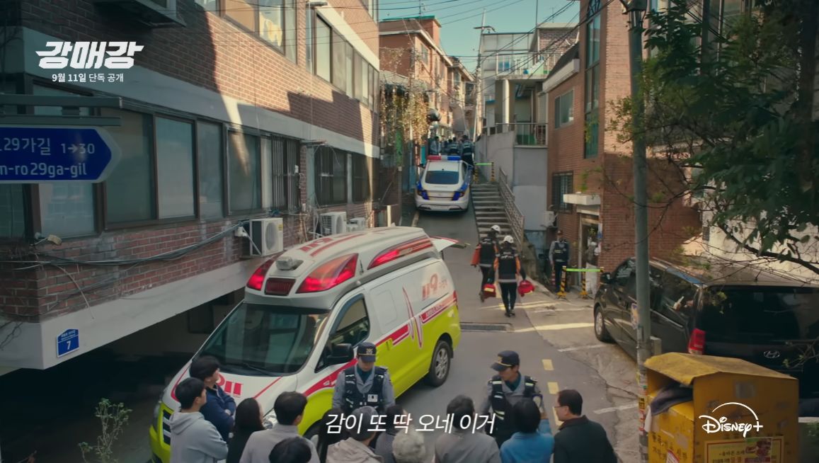 강매강 강추 드라마