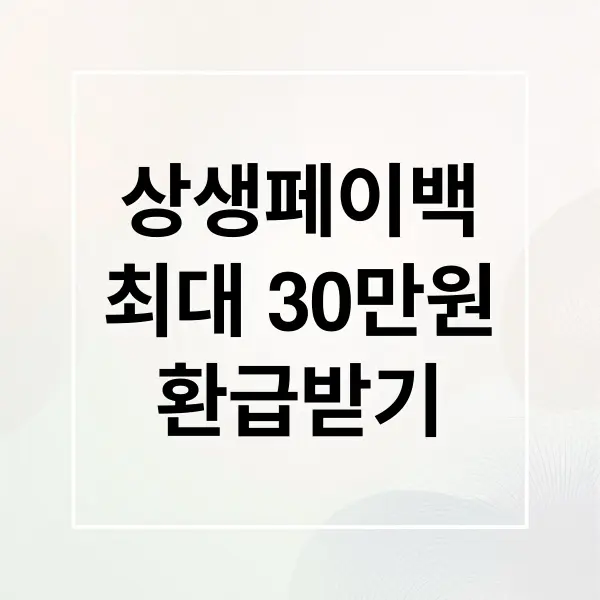 상생페이백 완벽 가이드