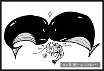고래 싸움에 새우등 터진다 뜻과 속담 영어 표현 안내집_2
