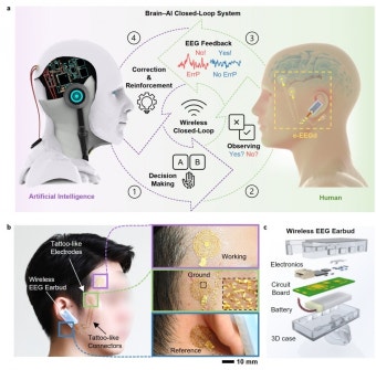 뇌의 전기 에너지