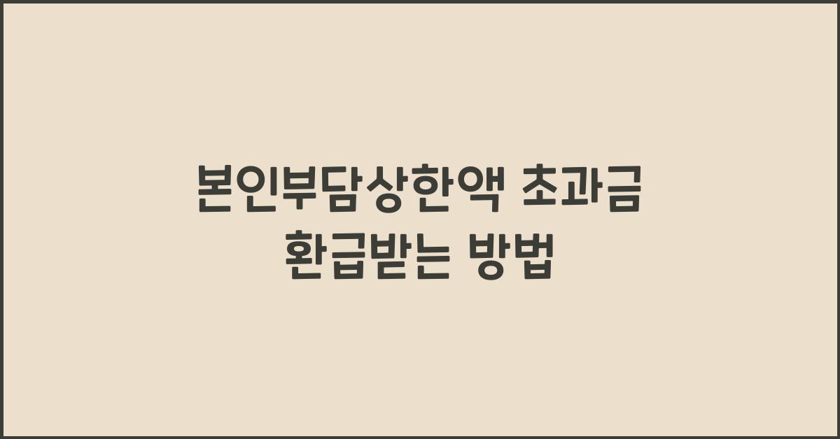 본인부담상한액 초과금
