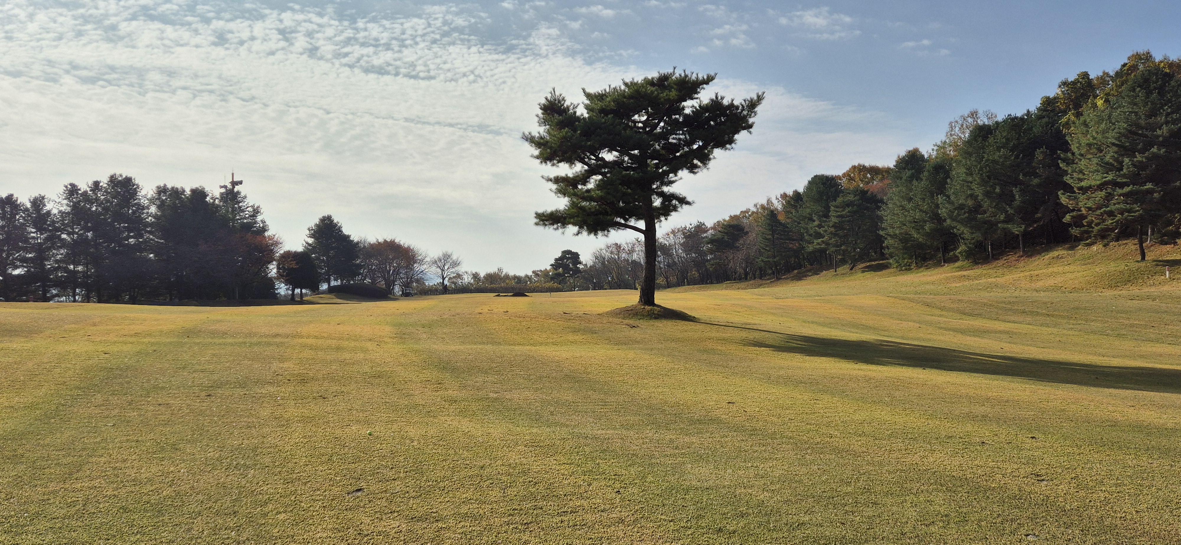 시그너스cc 라미코스 사진 및 공략 정보