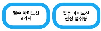 필수 아미노산 풍부한 음식