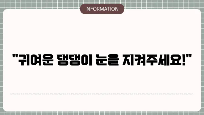 애견 백내장 안약: 반려동물 치료 옵션