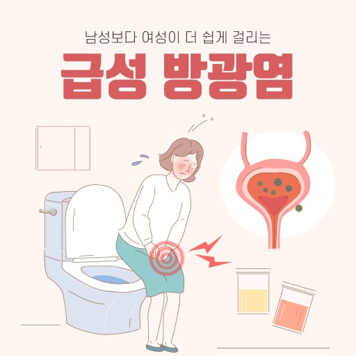 급성방광염 사진