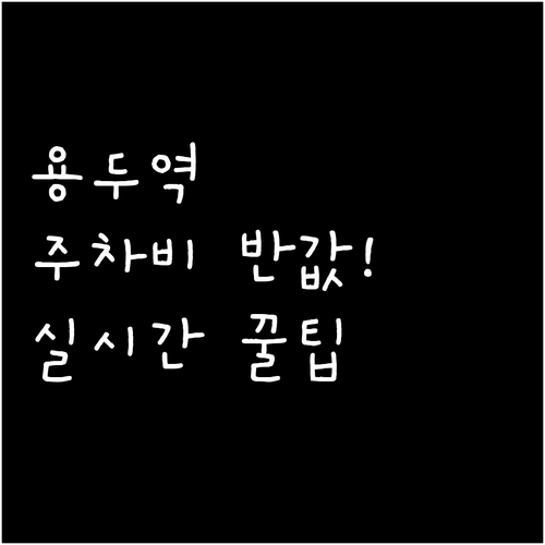 용두역 인근 저렴한 주차장 찾는 법과..