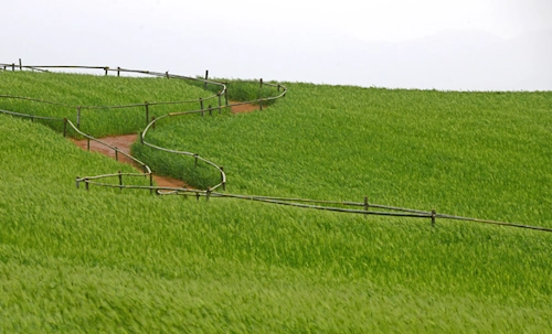 고창 보리나라 학원농장