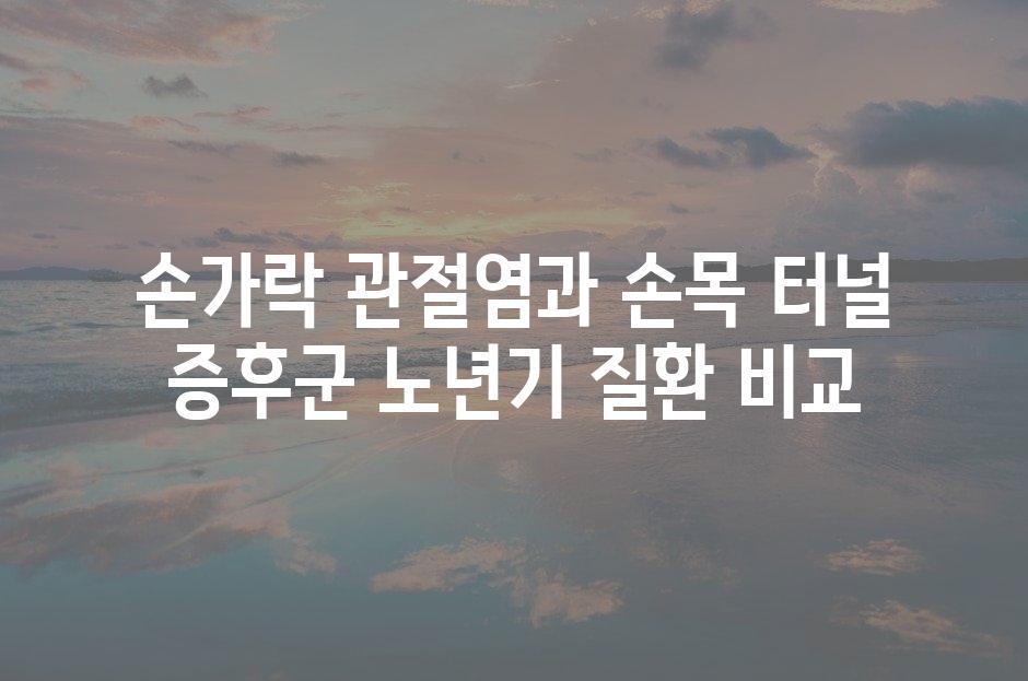 샘플 (81)