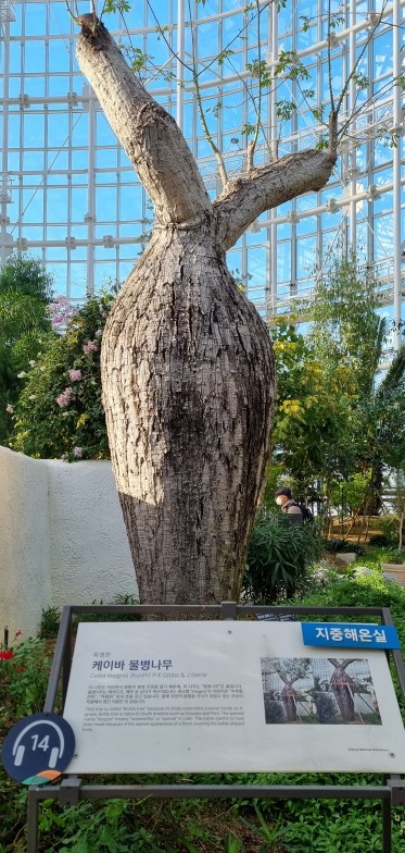 세종 국립 수목원