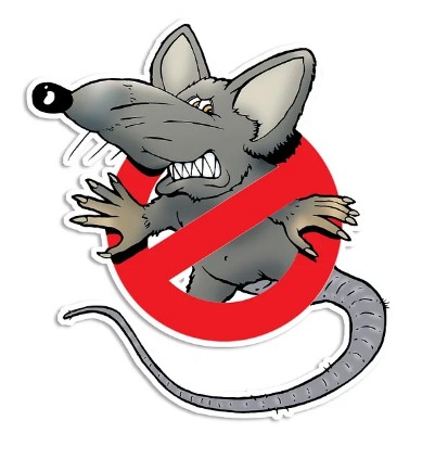 2026년 병오년 쥐띠 신년운세 무료보기