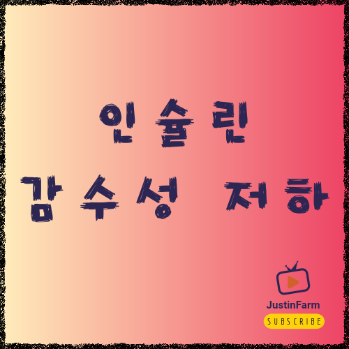 인슐린 저항성 이해와 생활 관리 방법, 혈당 스파이크 막는 핵심 전략