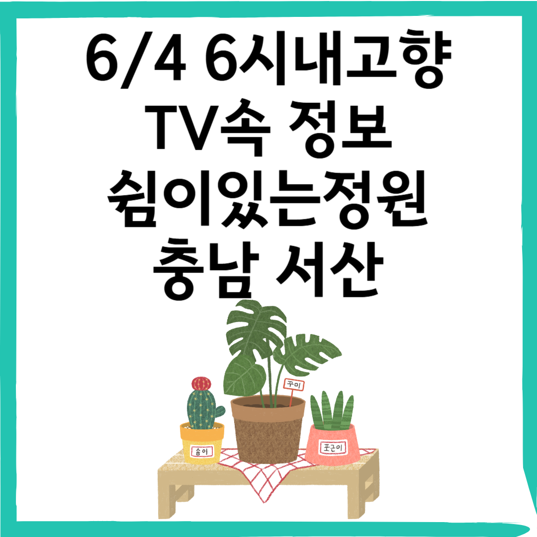6/4 6시내고향 충남 서산 쉼이있는정원 &ndash; 정원과 카페가 함께하는 자연 속 힐링 공간