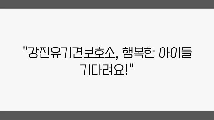 유기견보호소 활기찬 아이들 강진유기견보호소