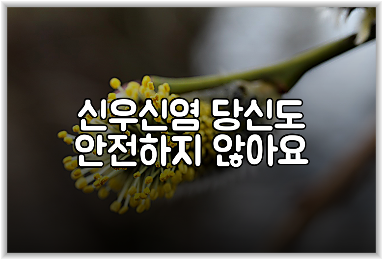 신우신염 당신도 안전하지 않아요
