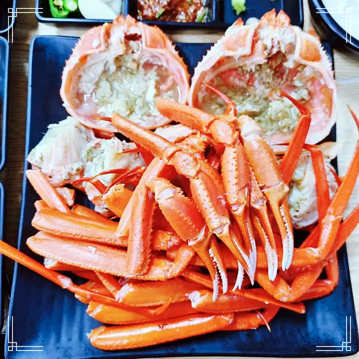 진심 가득 건강 담은 맛 강릉 경포대 강문해변 맛집 추천 생방송투데이 홍게 붉은 대게 속초 주문진 선주 직판 공수 물회 횟집 오늘방송 고수뎐