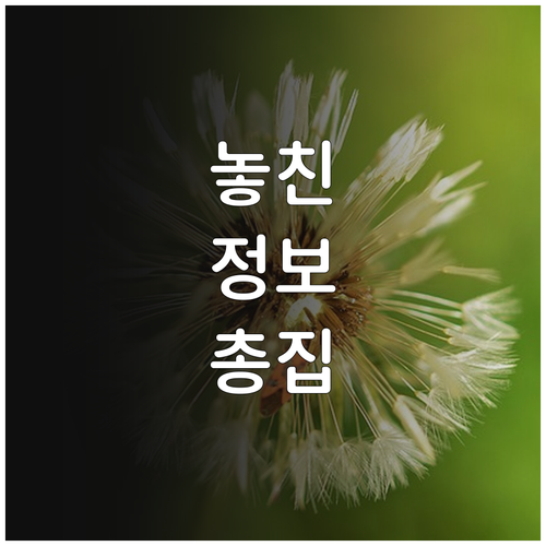 난자동결 지원 2025 광주 여성이라..