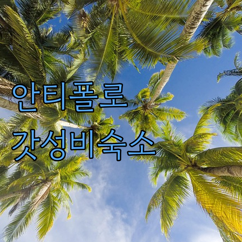 따이따이 안티폴로 가성비 숙소 추천 ..