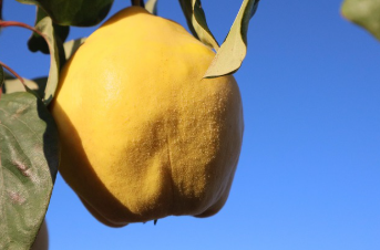 청와대 관람신청 한번에 해결 24