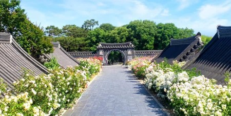 전주 당일치기 여행