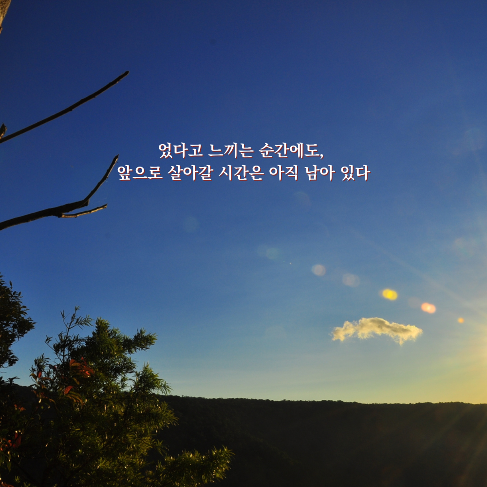 늦었다고 느끼는 순간에도, 앞으로 살아갈 시간은 아직 남아 있다. - 감성 글귀 이미지