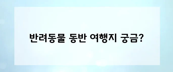 반려동물과 해외여행 가능한 국가 TOP 5