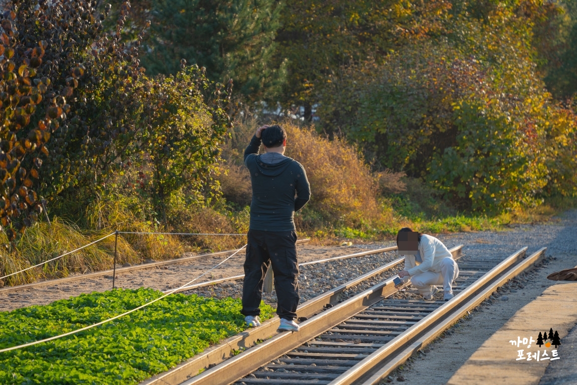 춘천 김유정역 폐역 포즈