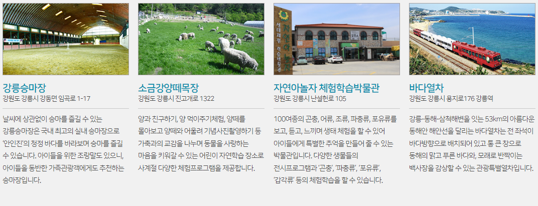 안목해변 주변 가볼만한 곳