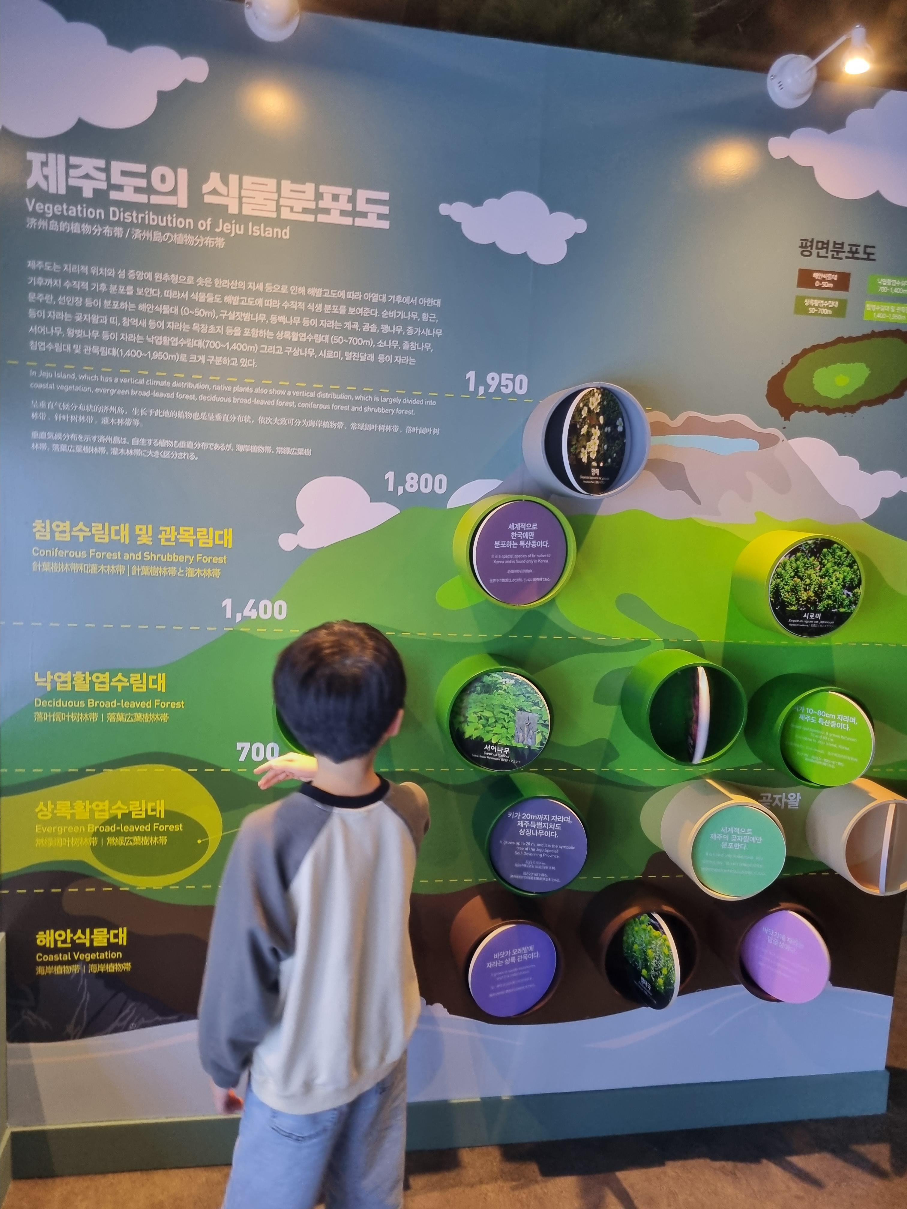 민속자연사박물관