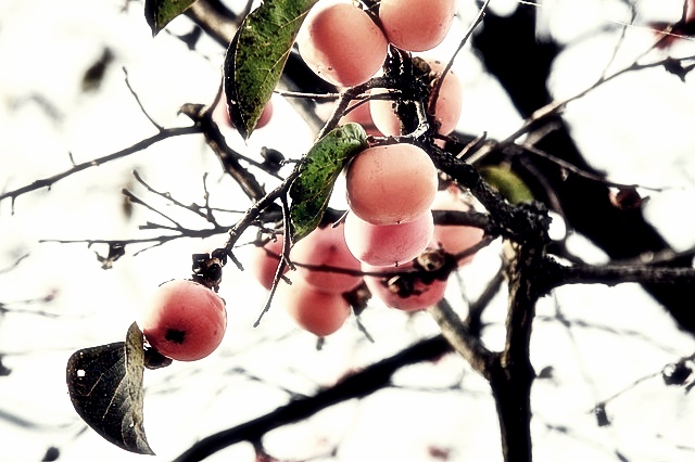 실시간 교통정보