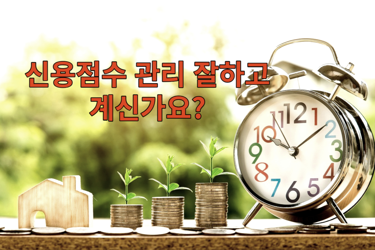 신용 점수 관리