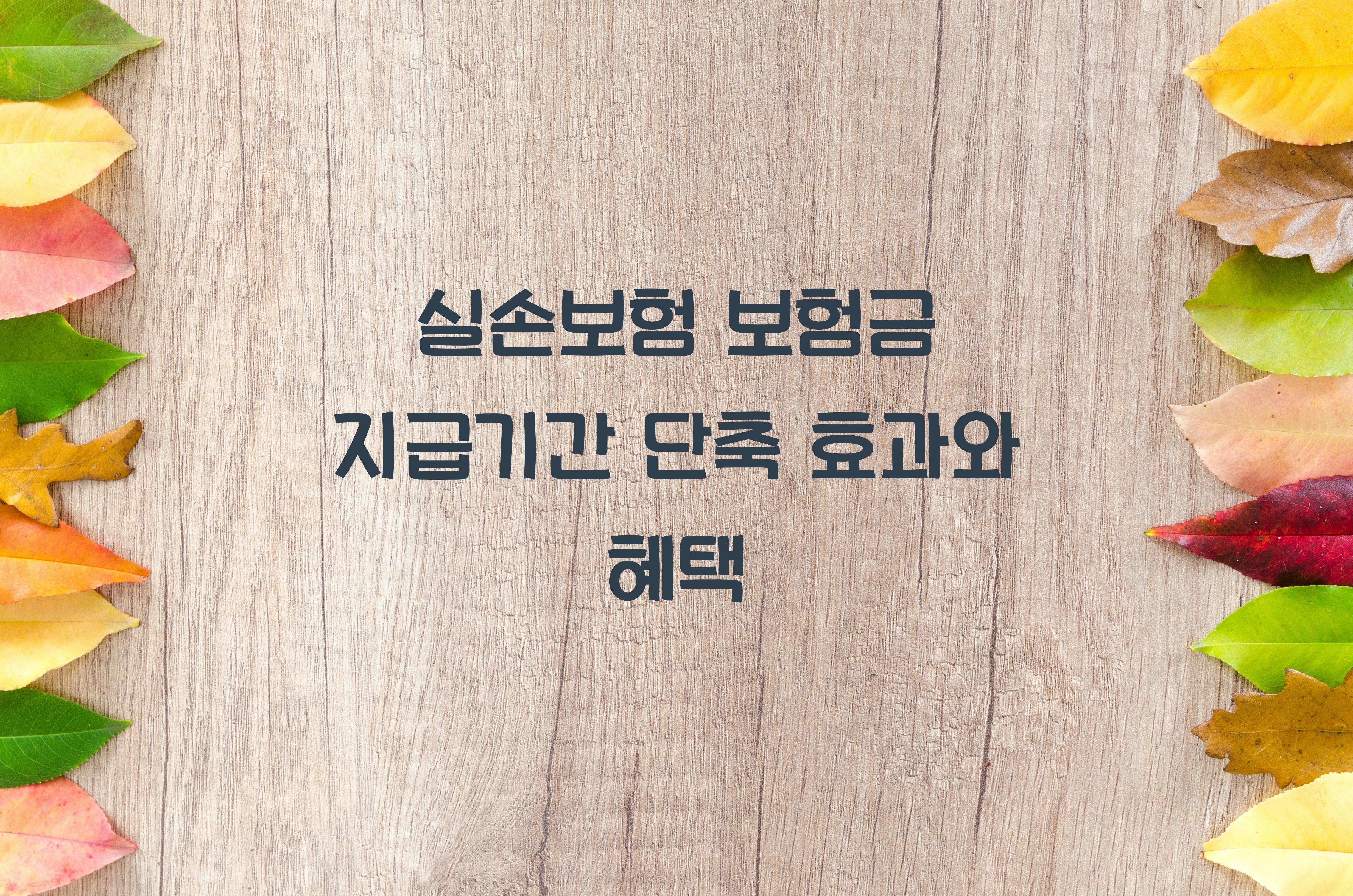 실손보험 보험금 지급기간 단축