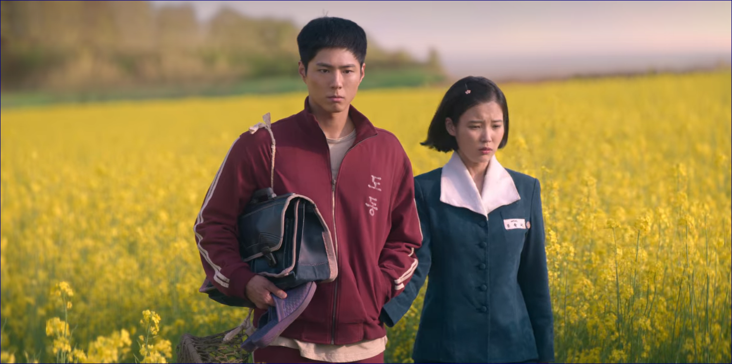 고창 청보리밭