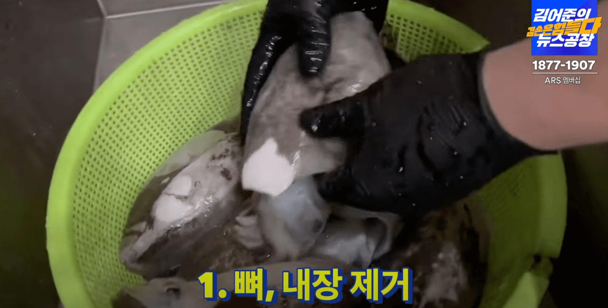 갑오징어-뼈-손질