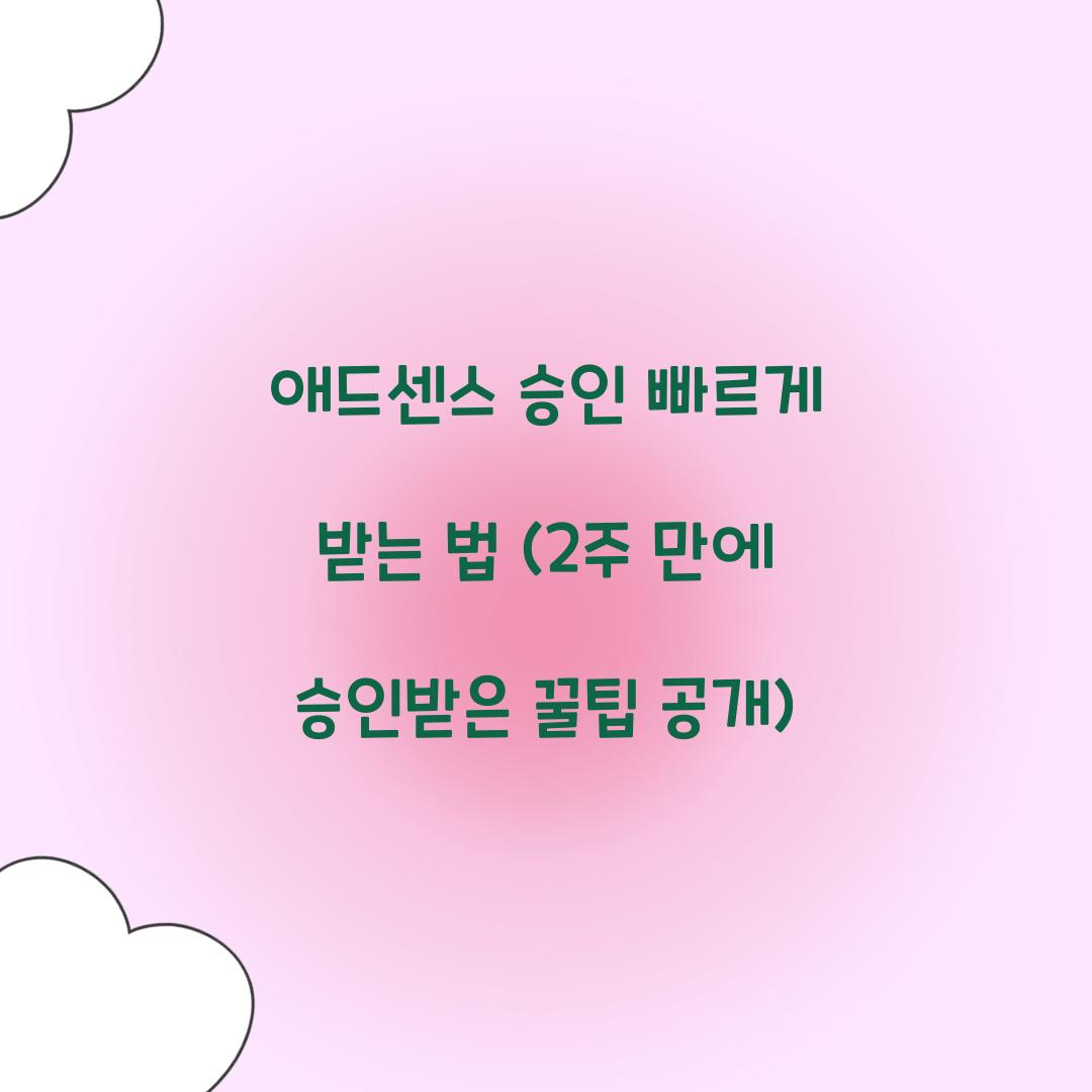 애드센스 승인 빠르게 받는 법