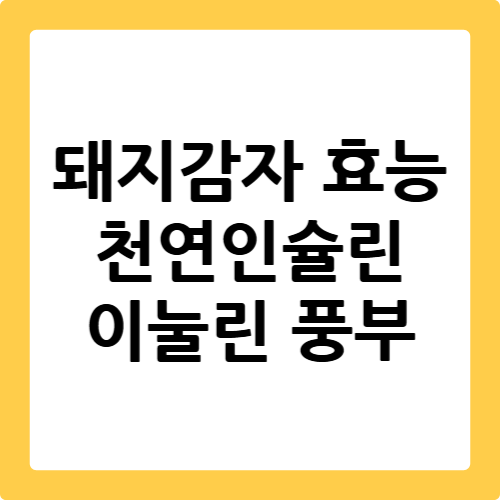 돼지감자 효능