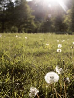 자연 치유와 재활 치료: 자연 환경에서 회복 속도 향상 사례