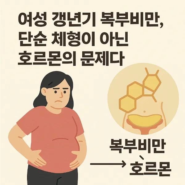 여성 갱년기 복부비만, 단순 체형이 아닌 호르몬의 문제다