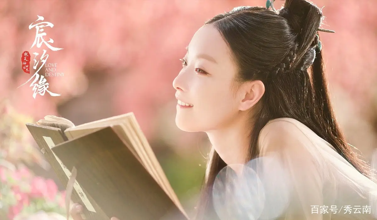 신석연