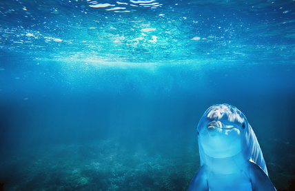 숨겨진 보물: 지구상의 마지막 10마리 동물들을 만나다